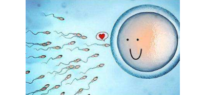 【大连助孕哪里有】，长沙助孕试管婴儿要想成功移植胚胎的数量几枚才最好？