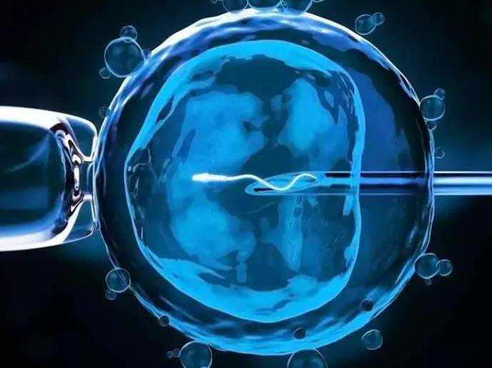 大连哪做试管代孕好-拉拉可以去泰国做三代试管婴儿生小孩吗?