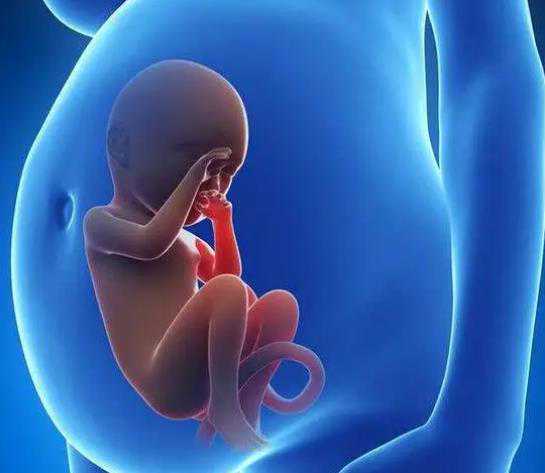 快速瘦身的方法有哪些?探索减肥奥秘,告别肥胖!