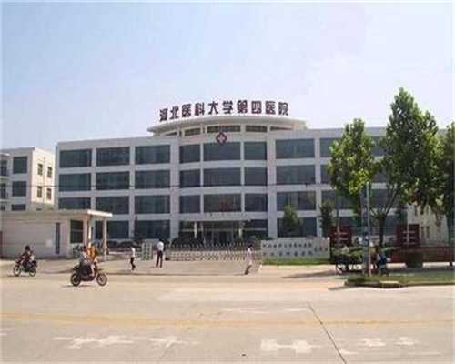 大连代怀孕捐卵女孩_吃芋头的好处和坏处？