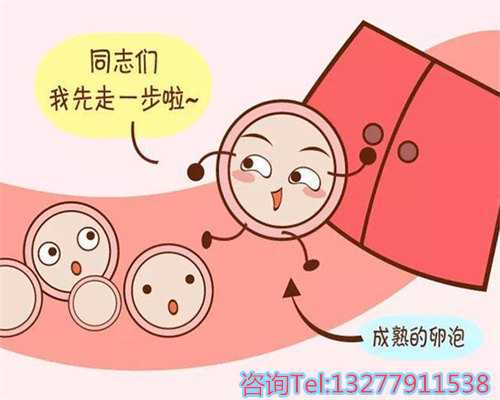 试管婴儿大连代孕要多少钱，大连菁华试管费用是多少