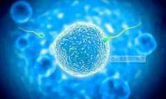 黑广告卷土重来：代孕49万，包生儿子55万，供卵一次2万