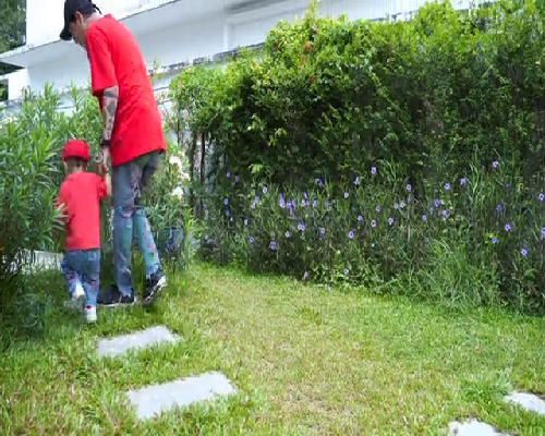 试管鲜胚移植第七天了，等待的日子好漫长！一月二号移