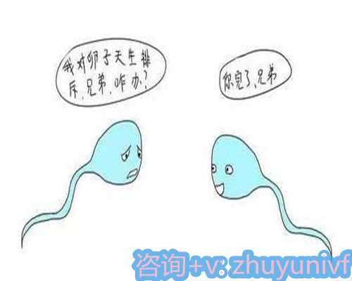 52岁大连借卵生子服务轻松解决生二胎难题