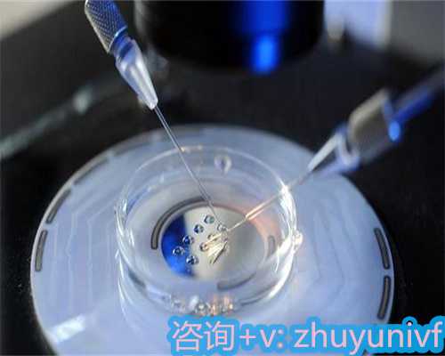 50岁大连借卵成功率多少的全套服务介绍