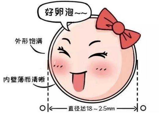 大连供卵专业机构，卵巢保养手法卵巢保养的正确按摩手法