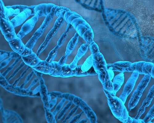 大连助孕中心公司成难题？不妨考虑找女人代怀