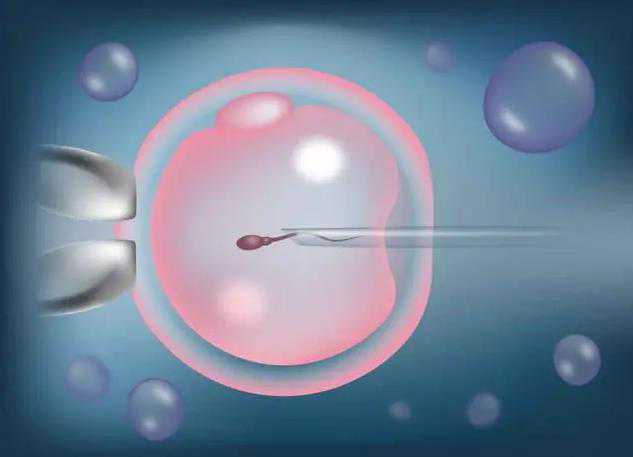 早期怀孕时小腹可出现紧绷与胀大的情况