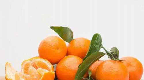 大连供卵试管医院：做供卵试管婴儿会出现宫外孕吗？