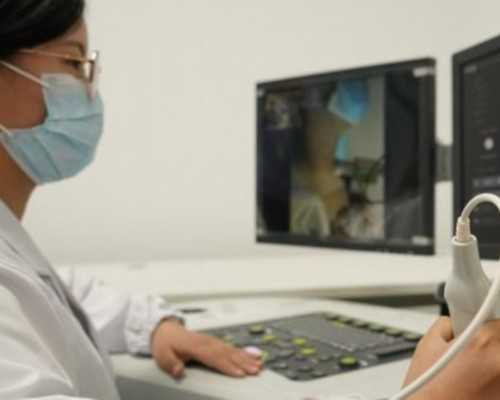 排卵试纸有哪些品牌