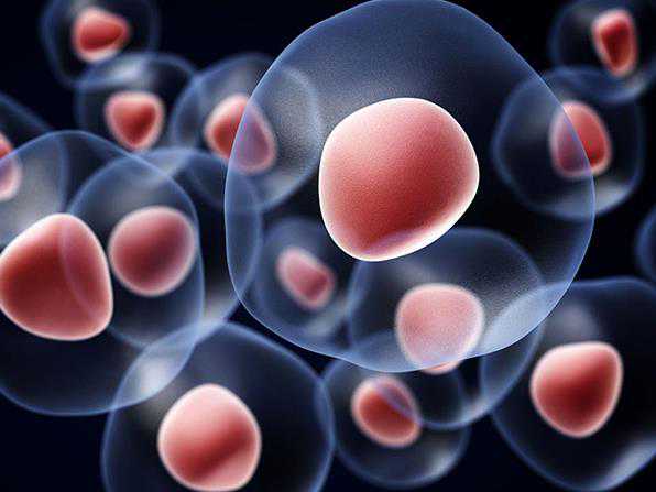 口碑品牌大连做供卵试管婴儿的私立生殖医院排行榜