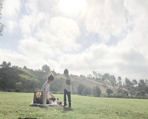 大连代孕大概多少钱:孕早期能吃油桃吗