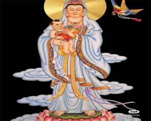 囊胚冷冻的相关问题