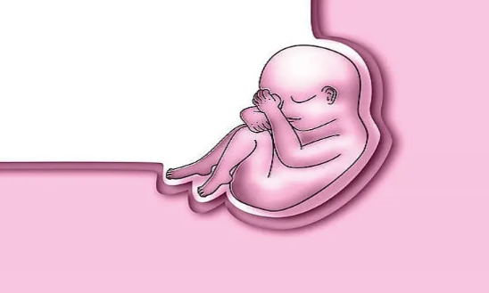 大连试管选择男女多少钱，大连三代试管供卵生男孩-正规助孕医院